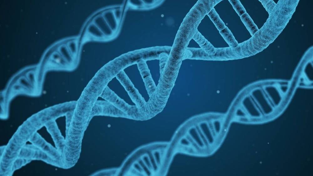 Английские ученые смогли собрать и секвенировать ДНК животных из воздуха