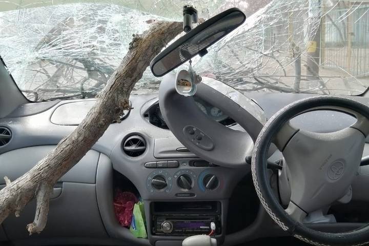 Пункт назначения по-астрахански: дерево насквозь пронзило автомобиль