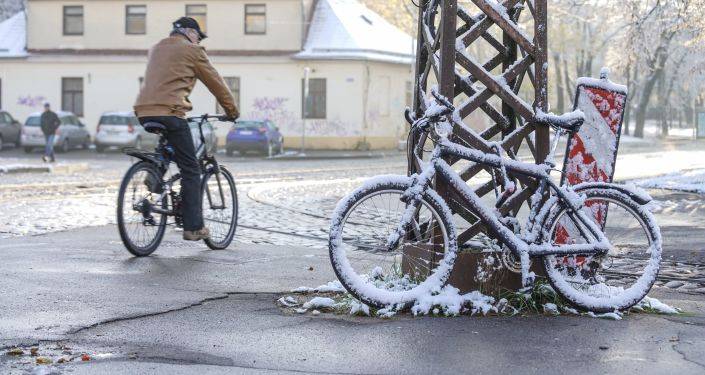 Эксперимент продолжается: велополоса на улице Чака останется до осени