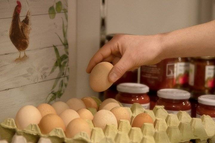 Цены на яйца взлетели в Новосибирской области