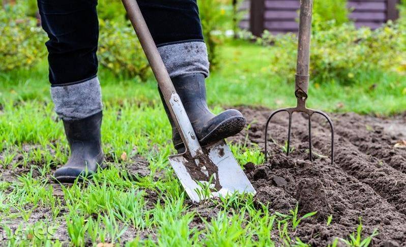 Лопата для копки огорода своими руками. 2 варианта, которые существенно облегчат работу на земле