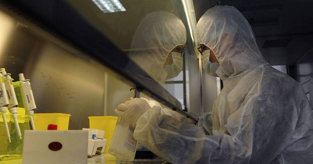 Происхождение коронавируса: Китай требует от США раскрыть информацию о якобы биолабораториях в Украине