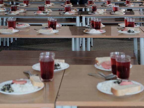 Инцидент с сырой курицей в супе петербургского школьника опровергли «документально»