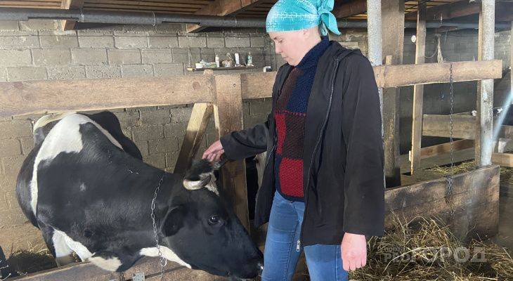 Супруги из Моргаушского района завели коров и стали работать на себя: “На наемный труд не вернемся”