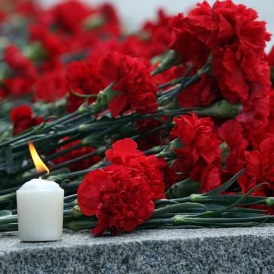 В Волгоградской области 3 мая объявлен траур по погибшим в ДТП в Ставрополье детям