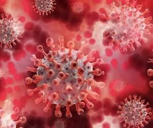 Ученые выяснили, как уничтожить коронавирус менее чем за секунду