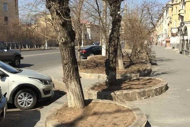 ДМРСУ уберёт тополя возле художественного салона на улице Ленина в Чите