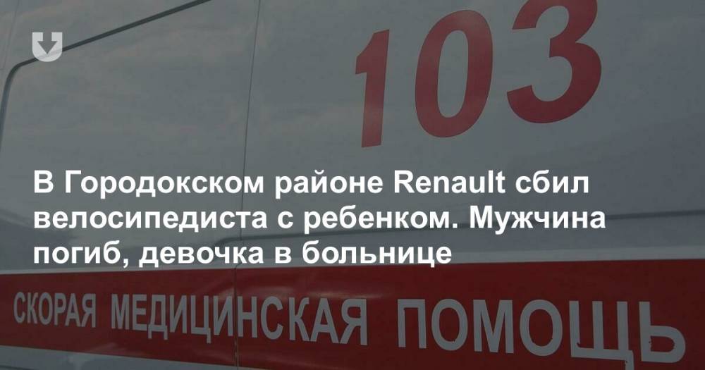 В Городокском районе Renault сбил велосипедиста с ребенком. Мужчина погиб, девочка в больнице