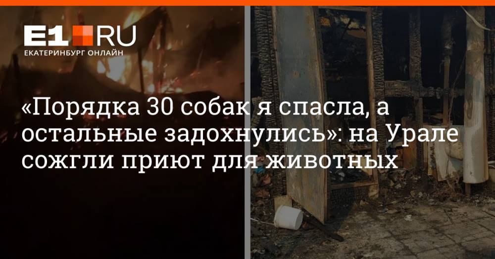 «Порядка 30 собак я спасла, а остальные задохнулись»: на Урале сожгли приют для животных