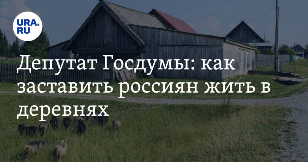 Депутат Госдумы: как заставить россиян жить в деревнях