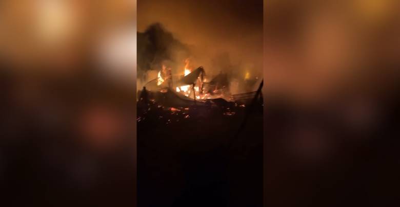 В Свердловской области при пожаре в частном приюте заживо сгорело более 30 собак и кошек