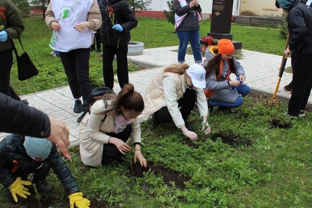2 тысячи деревьев высадили в Псковской области по проекту Зеленая область