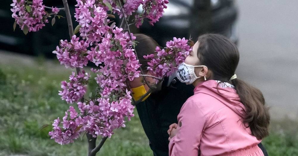 Топ-3 места в Украине, где можно насладиться весенним цветением и сделать фото: детали