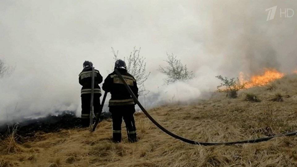Режим ЧС введен в Тюменской области из-за природных пожаров