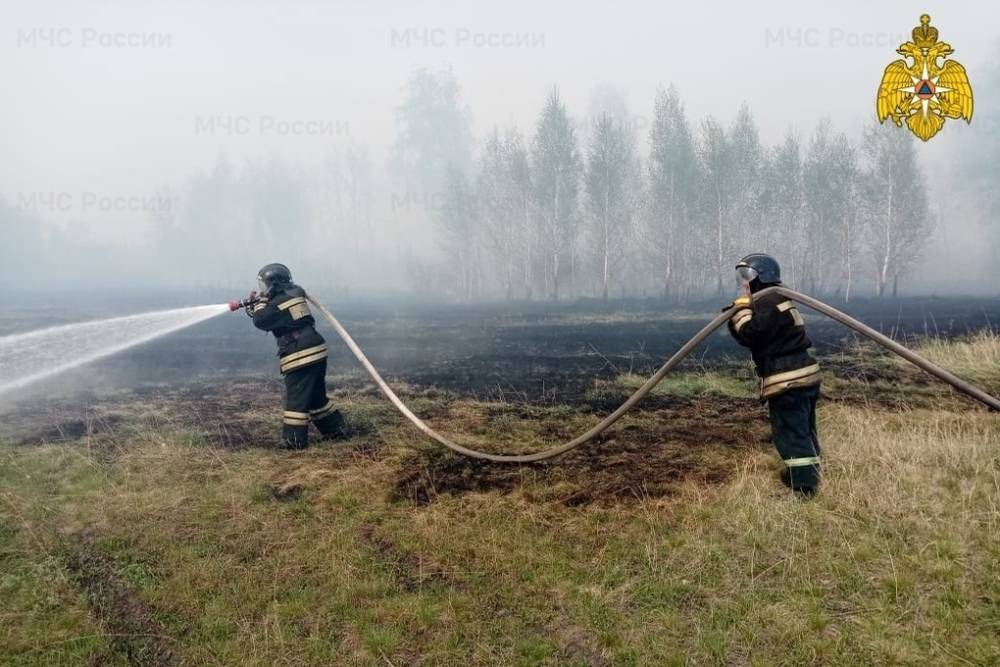 Пожарные смогли защитить населенные пункты Зауралья от крупного пожара
