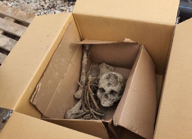 Фото: на мясокомбинате в Тосненском районе нашли останки красноармейца и снаряды