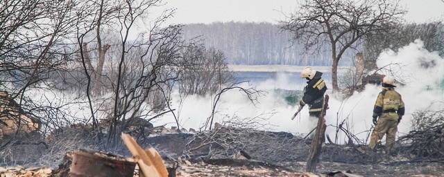 В Омской области из-за пожара в деревне Каракуль главу сельского поселения обвинили в халатности