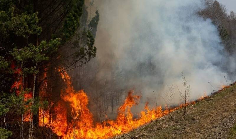 41 лесной и ландшафтный пожар произошел за сутки в Тюменской области