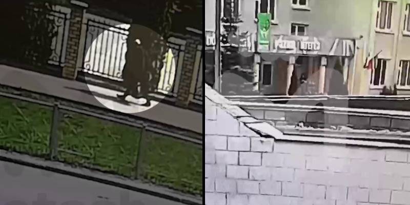 Захват школы в Казани - Ильназ Галявиев спокойно зашел в здание с оружием, видео - ТЕЛЕГРАФ