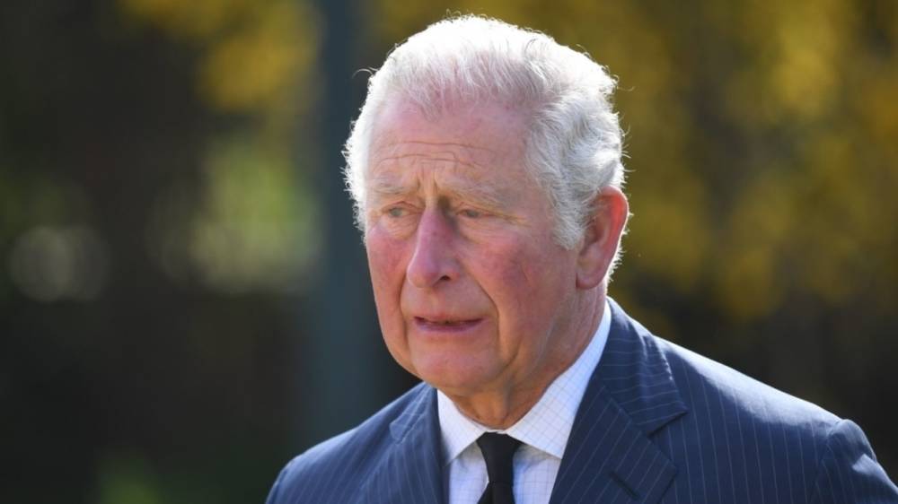 Принц Чарльз планирует сократить количество членов королевской семьи