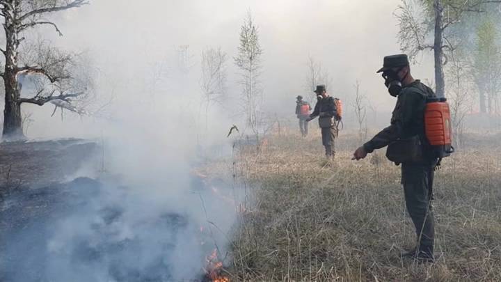 107 лесных пожаров потушено в России за сутки