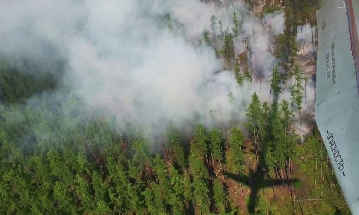 Первые лесные пожары зафиксированы в Якутии