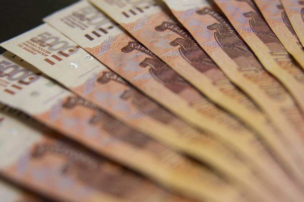 В Рязанской области выявили 80 фальшивых купюр и одну монету