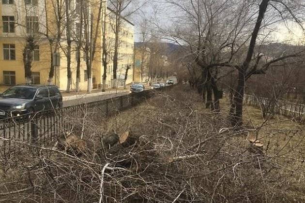 ТГК-14 вырубили деревья на Горького под ремонтную технику