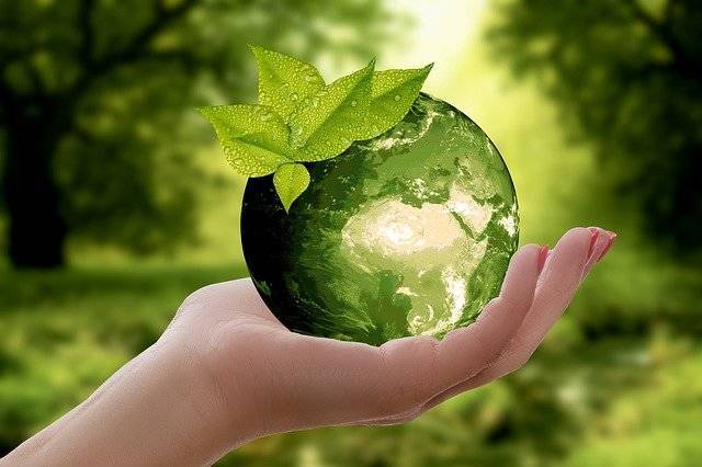 12 мая отмечается Международный день экологического образования