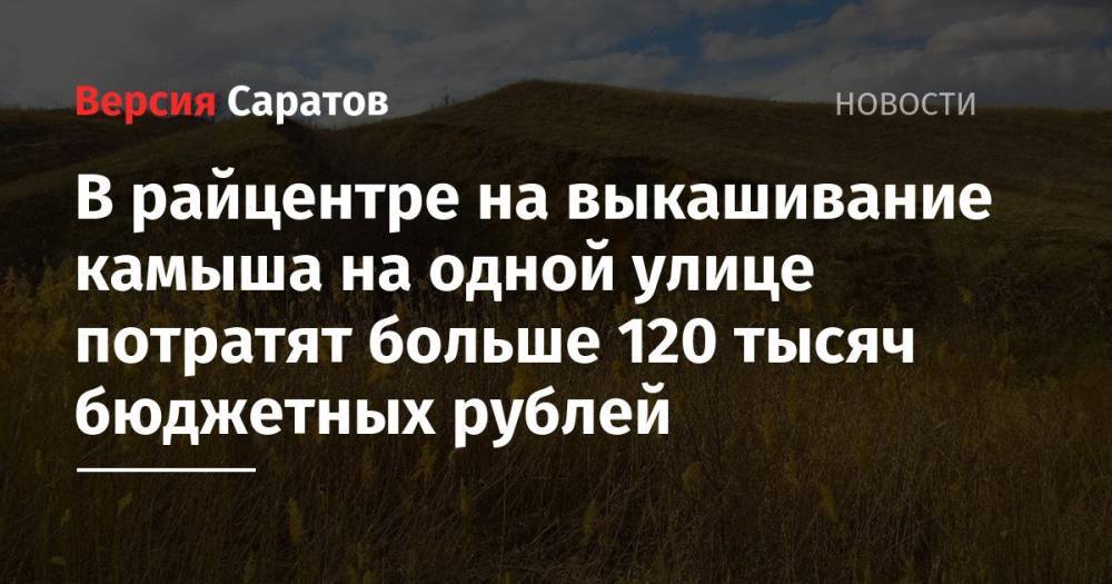 В райцентре на выкашивание камыша на одной улице потратят больше 120 тысяч бюджетных рублей