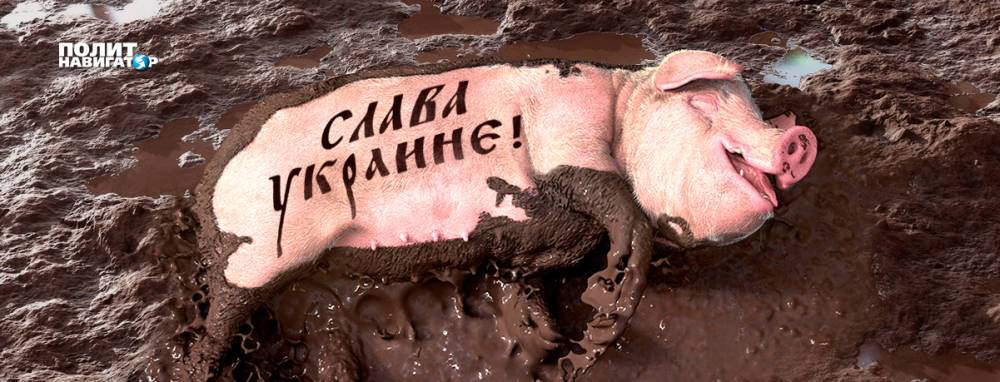 Джангиров объяснил, почему украинский национальный миф трещит по...