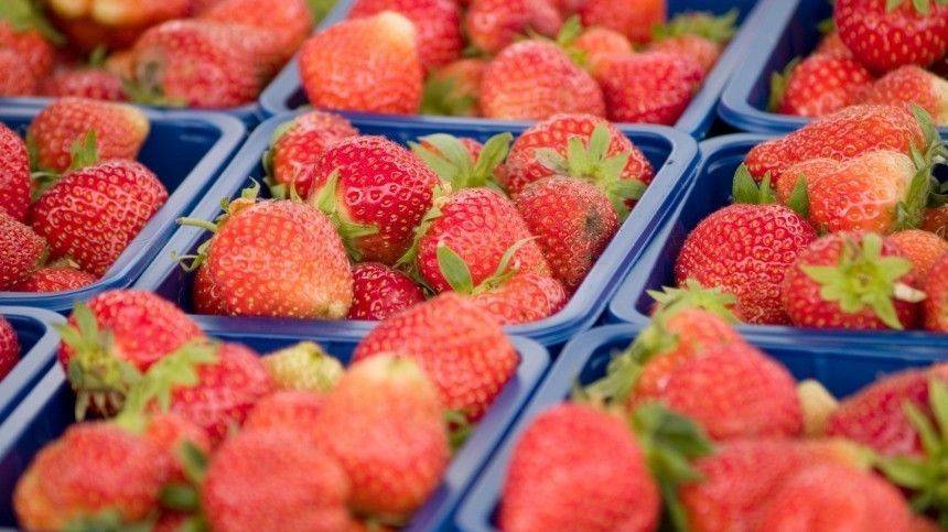 Сладкая клубника: зависит ли качество от цены, и как выбрать ягоду?
