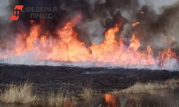 Тюменские пожарные отбили у огня 3 тысячи гектаров леса
