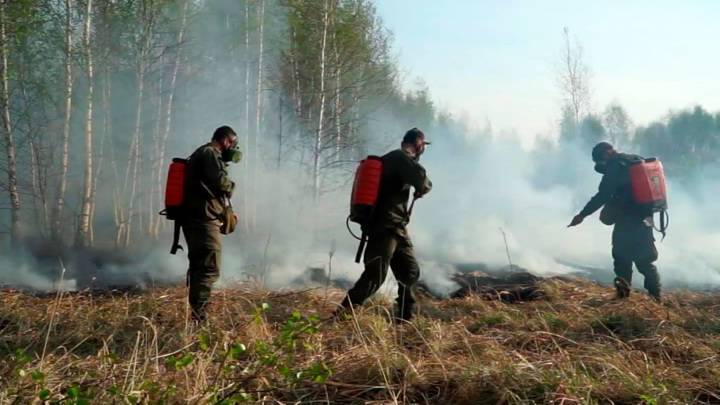 Новости на "России 24". В РФ за сутки потушили более 150 пожаров: самая сложная обстановка в Тюменской области