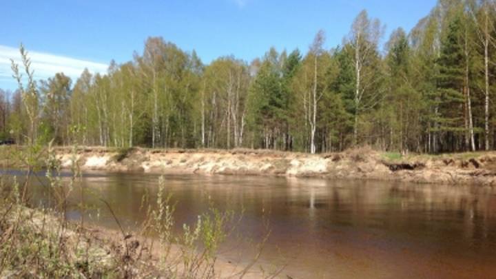 Упал в реку: в Нижегородской области найдено тело 6-летнего мальчика