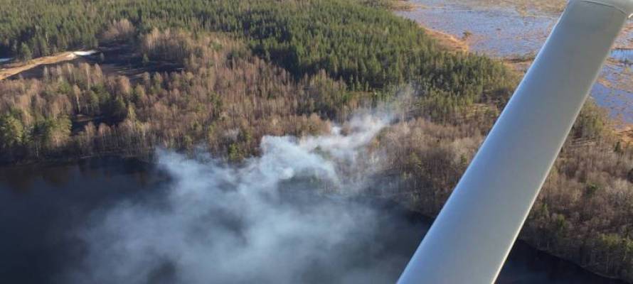Два лесных пожара произошли в Карелии за сутки