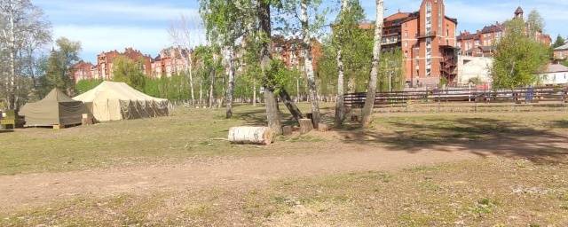 Оренбургская прокуратура начала проверку после вырубки деревьев на ул. Красная Площадь