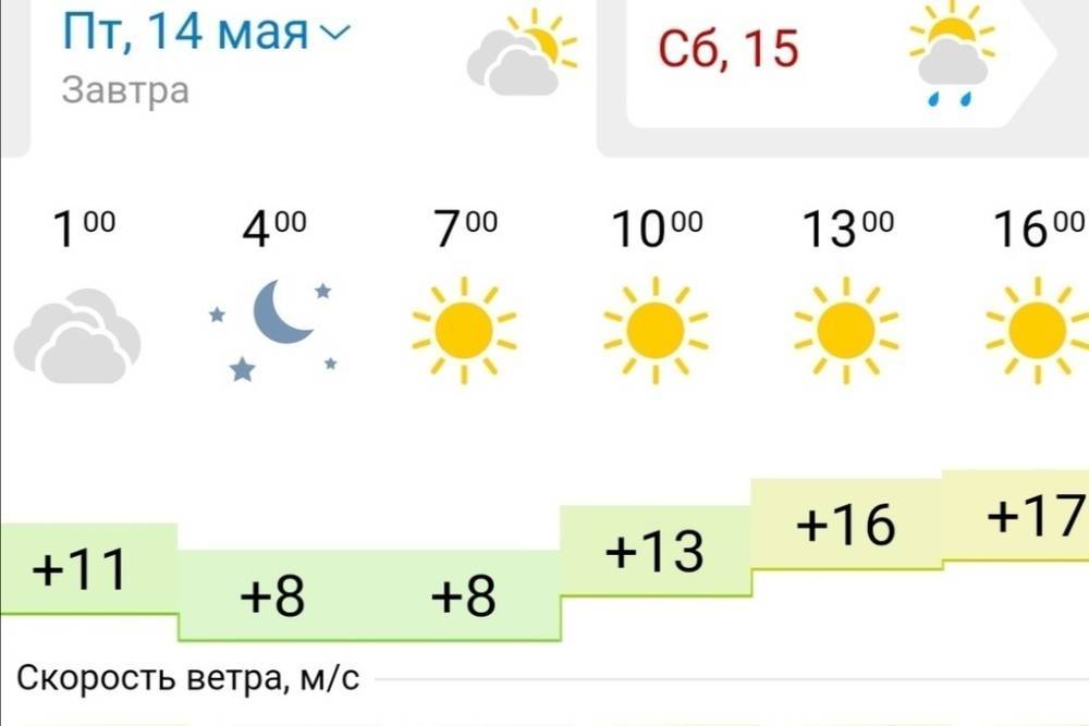 14 мая в Новосибирске ожидается теплая погода без осадков