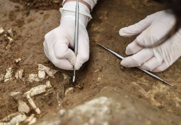 Археологи нашли в Турции гробницы с загадочными фигурками