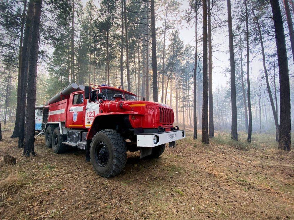 В Тюменской области спасли от лесного пожара две деревни