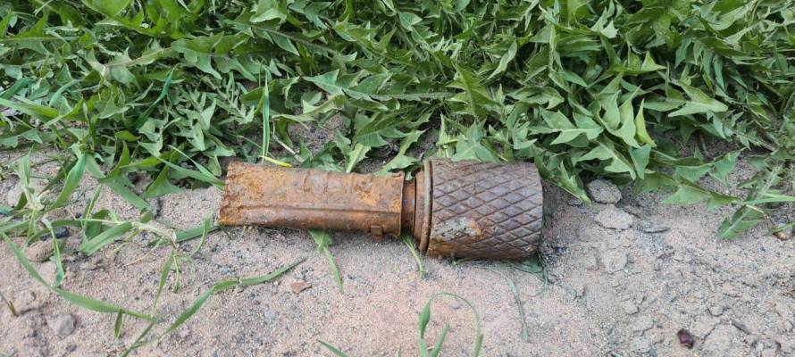 На газоне в Петрозаводске нашли гранату