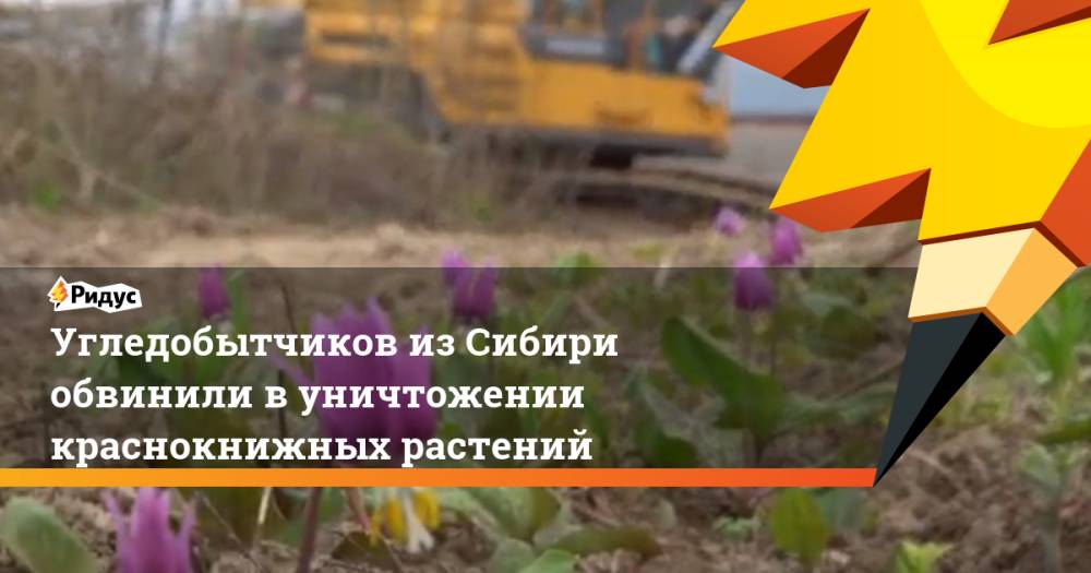 Угледобытчиков из Сибири обвинили в уничтожении краснокнижных растений