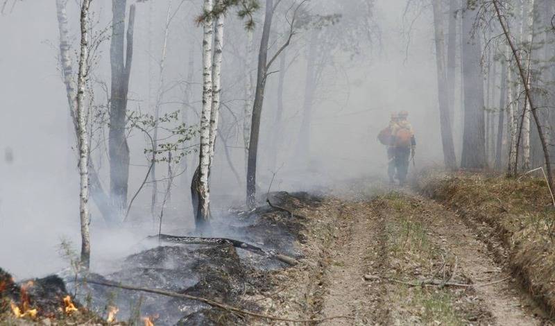 Загорелся лес около озера Андреевского в Тюменском районе