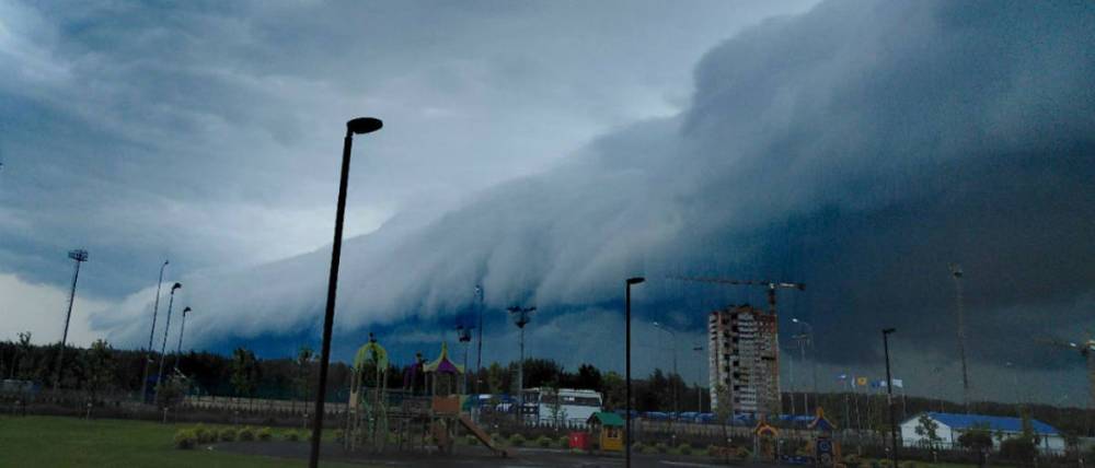 МЧС предупреждает о сильном дожде, граде и шквалистом ветре в ближайшие часы в Москве
