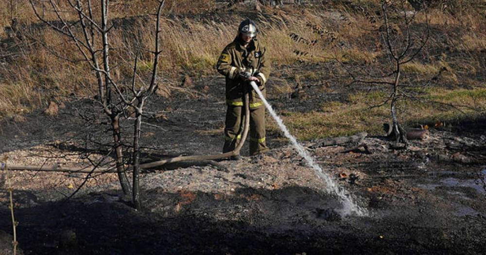 Школьницы сожгли ферму под Пермью ради видео в TikTok