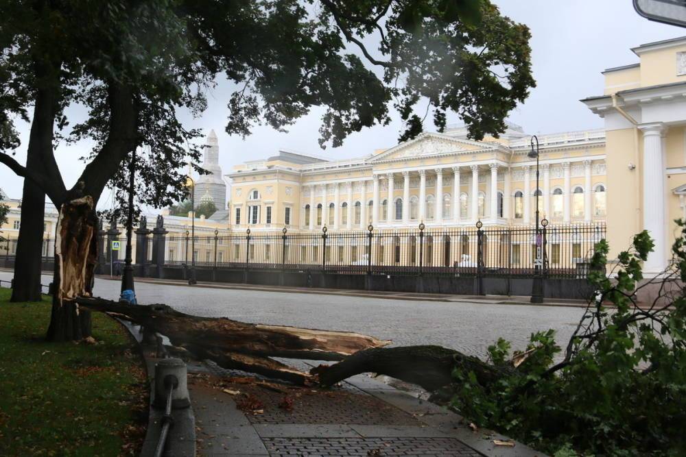 Шторм в Петербурге не случился, но грозы ожидаются