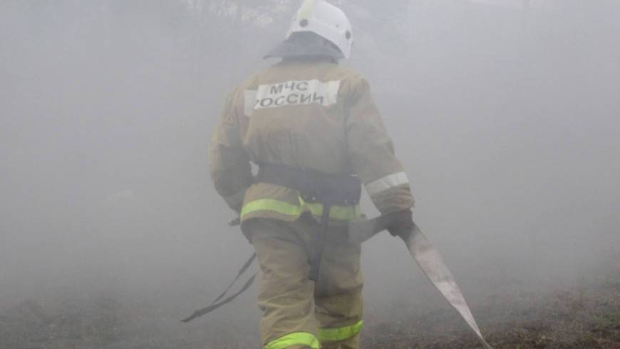 Школьницы устроили пожар на ферме ради ролика для TikTok