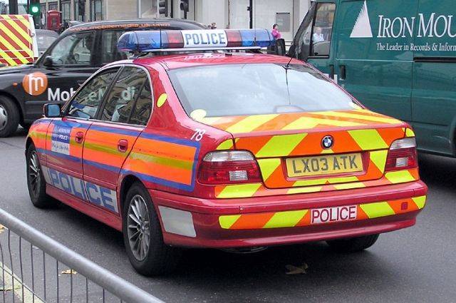 В Лондоне девять полицейских пострадали в ходе акции в поддержку Палестины