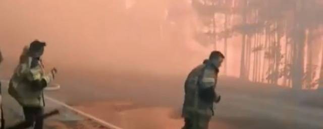 В Тюменской области потушили самый крупный в регионе лесной пожар