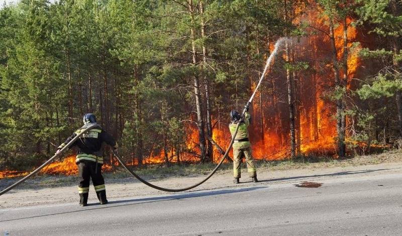В Тюменской области за сутки произошло 27 лесных и ландшафтных пожаров
